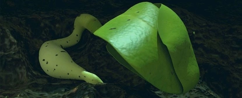 Uzayda Tarımın İlk Adımları: Çin Ay'da Bitki Yetiştiriyor!