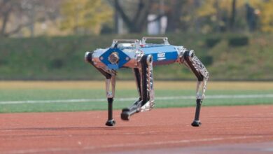 KAIST'in Dört Ayaklı Yapay Zeka Robotu Dünya Rekorunu Altüst Etti!