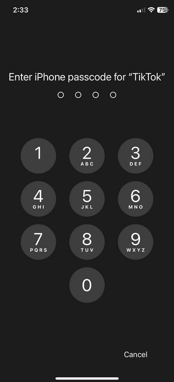 TikTok iPhone kullanıcısının şifresini istiyor