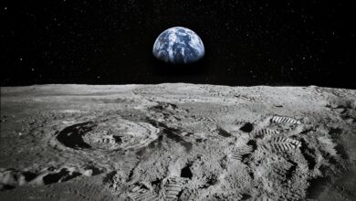 Milyonerler Ay'da Defin Edilmek İçin Milyonlarca Dolar Ödemeye Hazır!