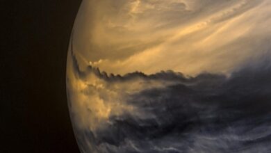 Venüs atılımı... NASA 'bol yaşamı desteklemeye yetecek kadar su' olduğuna dair kanıt buldu--