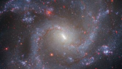 JWST ve Hubble Evrenin Genişlediği Konusunda Anlaştı!