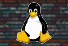 Linux Masaüstünde Rekor Kırdı