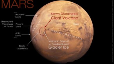 Noctis Mons ve diğer üç dev volkanın konumu.