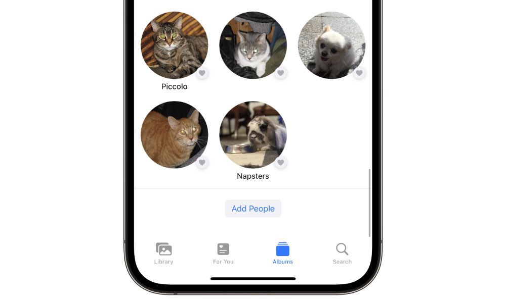 iOS 17, Fotoğraflar Uygulamasına Evcil Hayvan Tanıma Özelliğini Sunuyor!