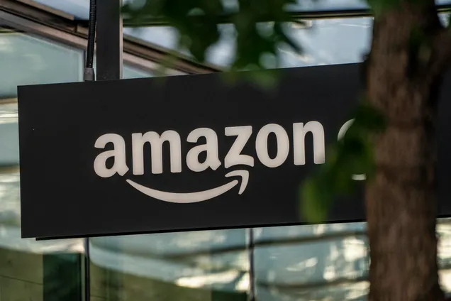 Amazon'un Paravan Şirketi Birden Fazla Platformda Ürün Sattı!