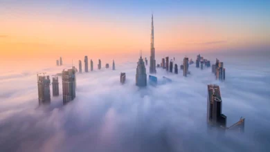 Bulut Tohumlama Nedir ve Nasıl Çalışır