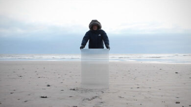 Görünmezlik Kalkanları