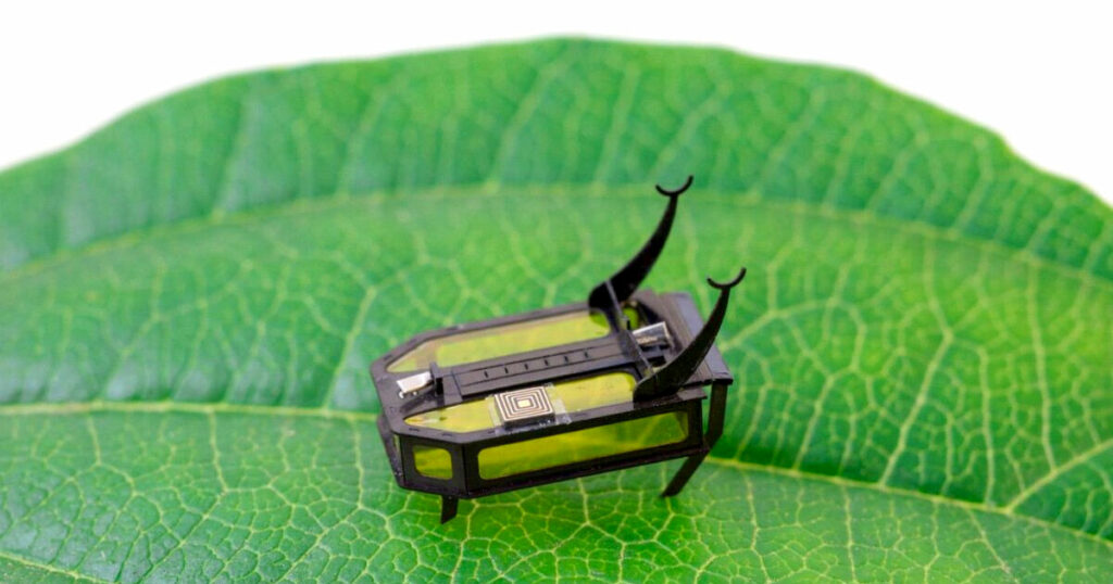 RoBeetle İsimli Bu Minik Robot Böceği Alkolle Çalışıyor!