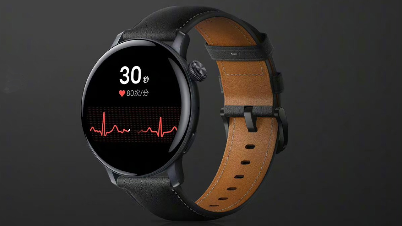 Vivo Watch 3 EKG