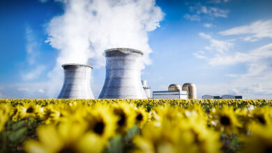 Nükleer enerji 2024’te tarihi seviyeye ulaştı