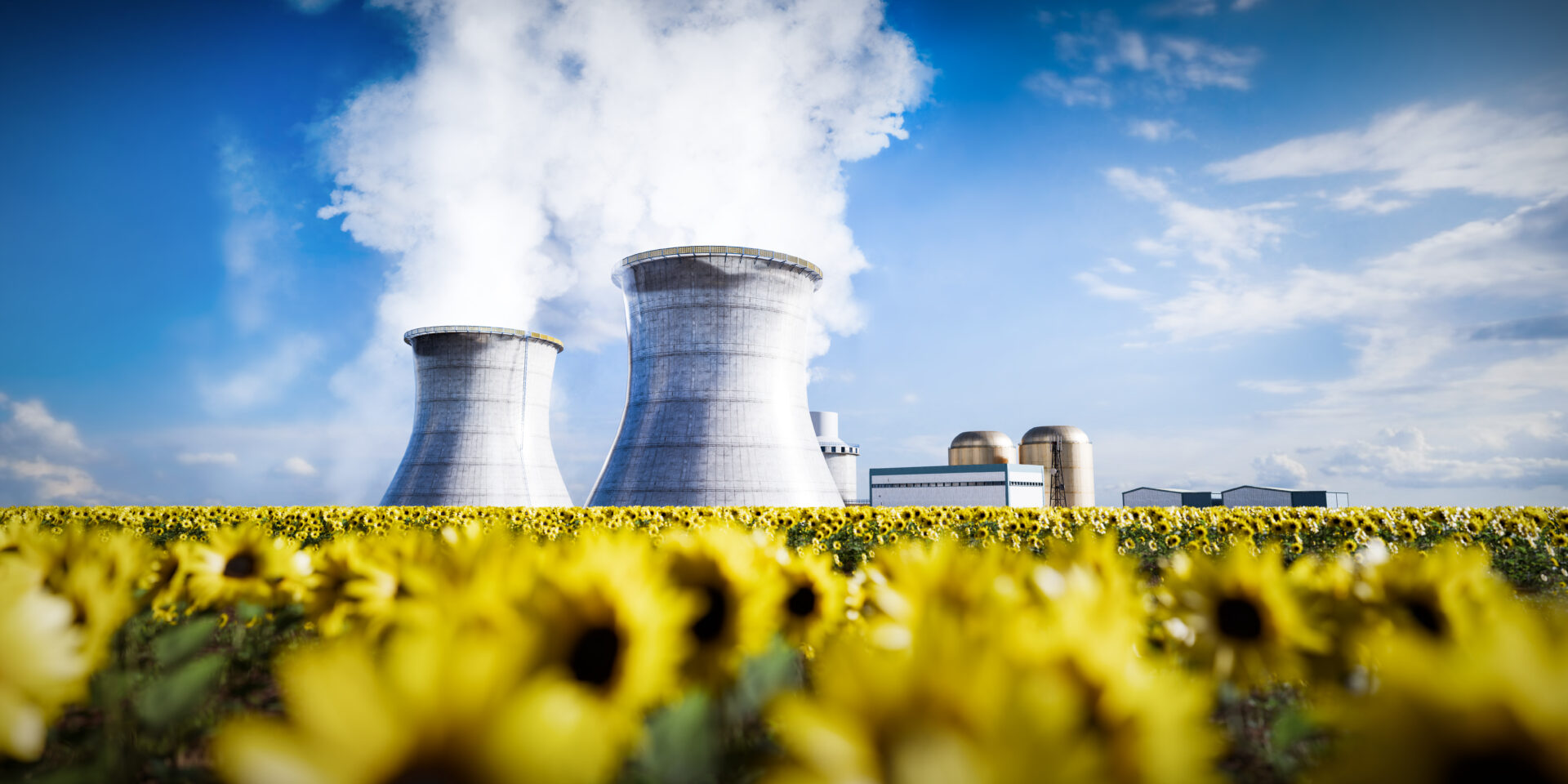 Nükleer enerji 2024’te tarihi seviyeye ulaştı