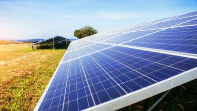 TCDD güneş enerjisi yatırımlarıyla yılda 1,5 milyar lira tasarruf sağlamayı hedefliyor