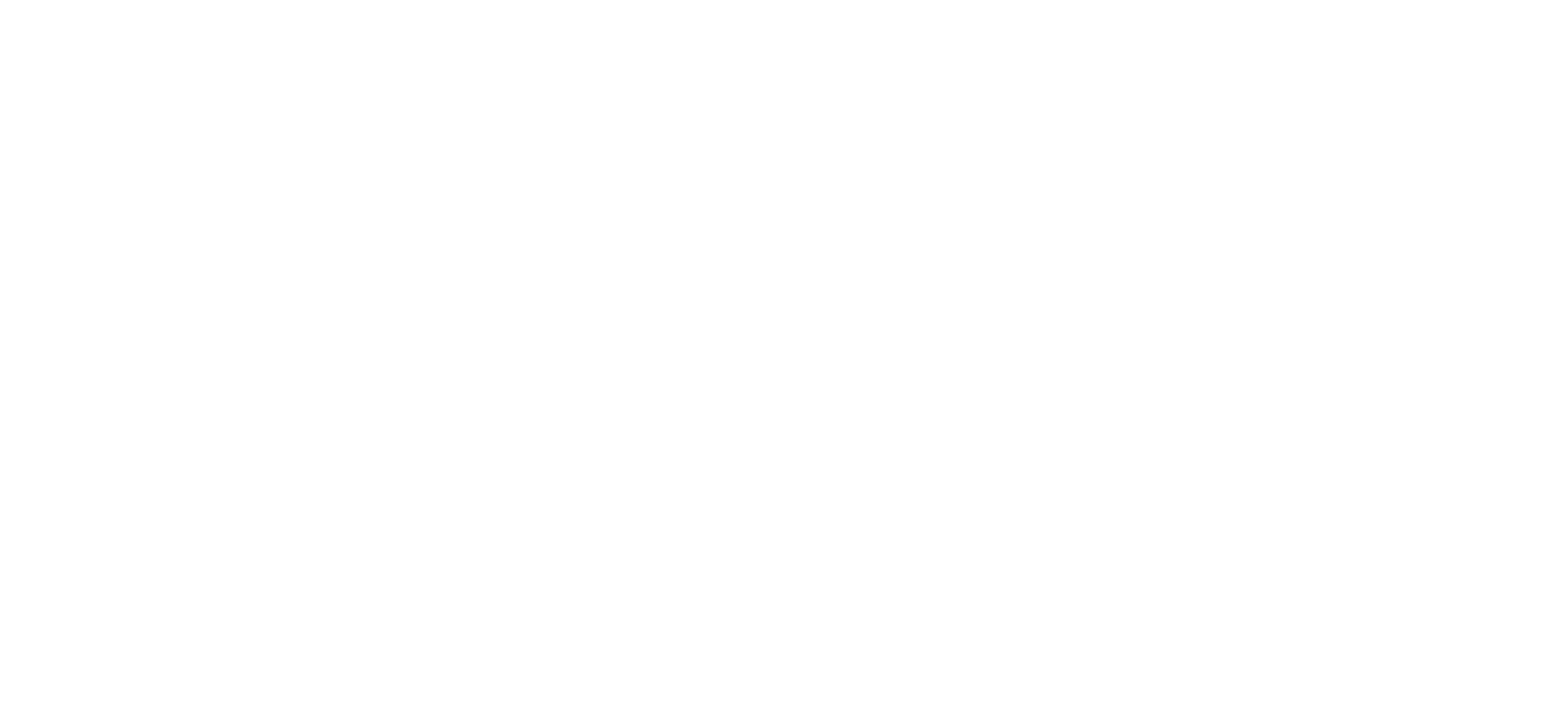 CIO Update